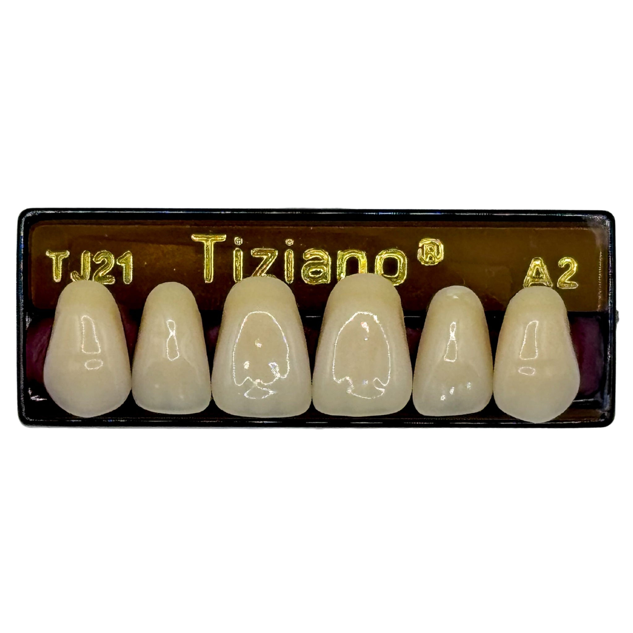 Dientes tiziano x 6 sa TJ21 col A2