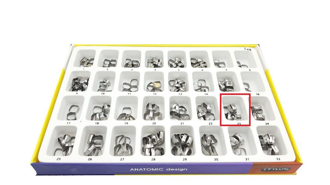 Banda anatomica 1 molar Borgatta Upper