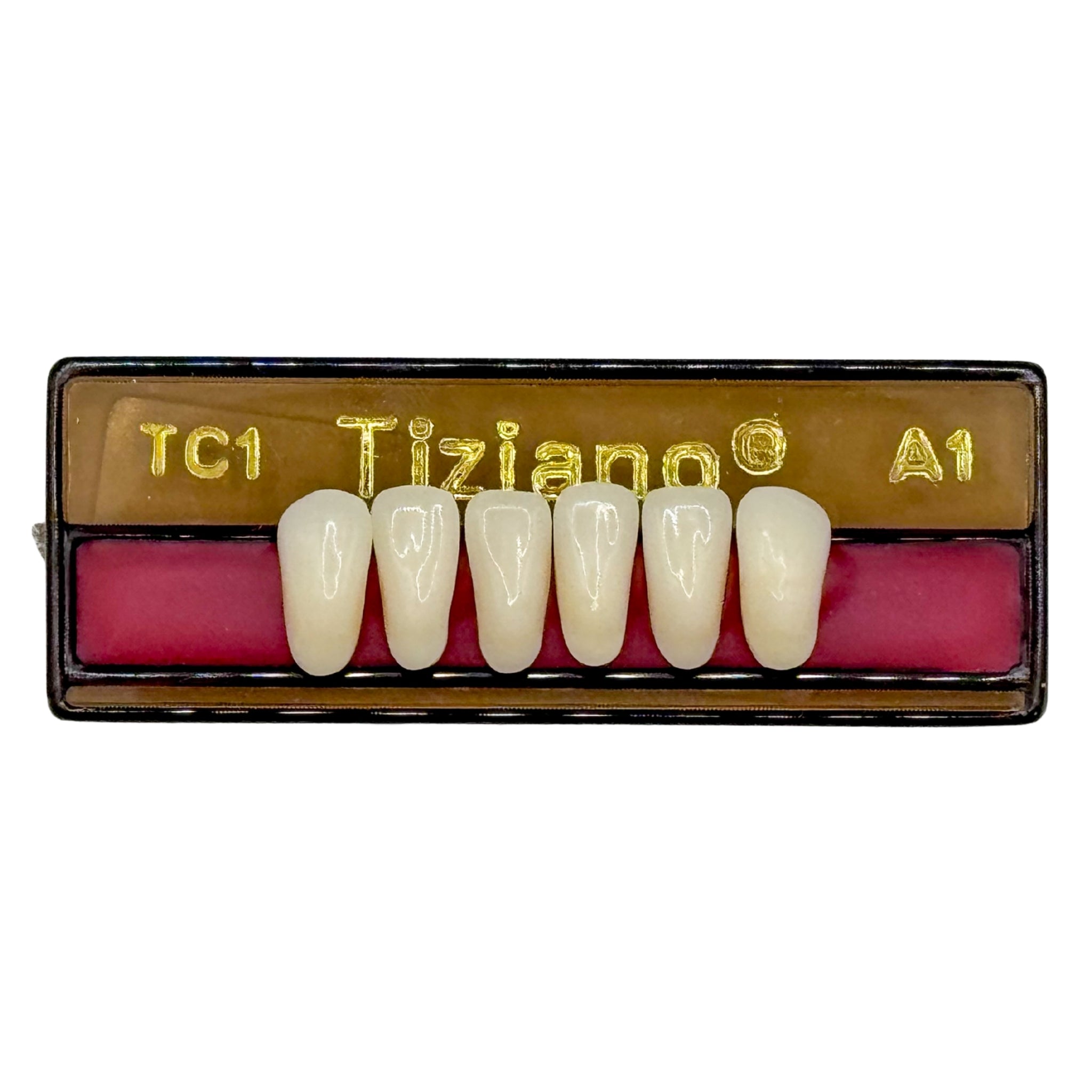 Dientes tiziano x 6 ia TC1 col A1