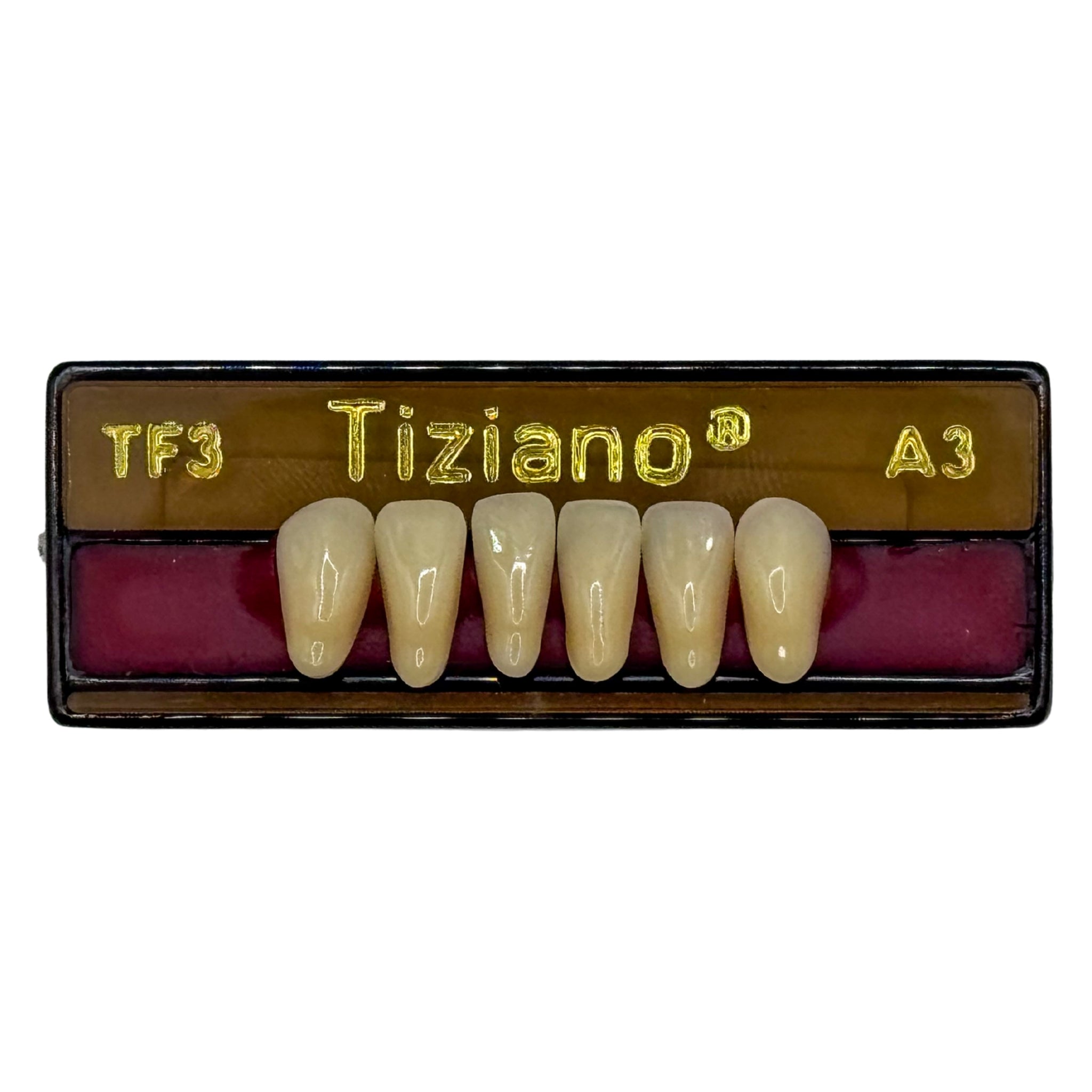 Dientes tiziano x 6 ia TF3 col A3