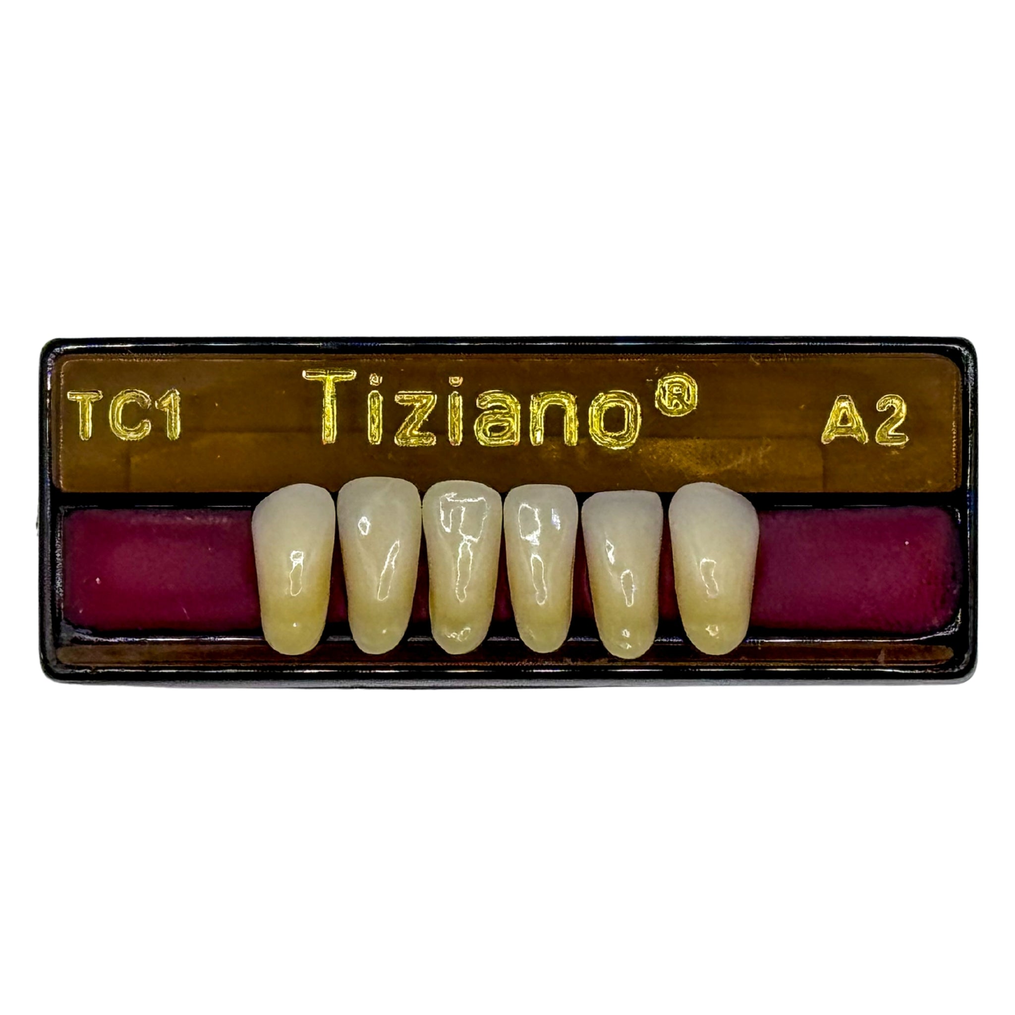 Dientes tiziano x 6 ia TC1 col A2