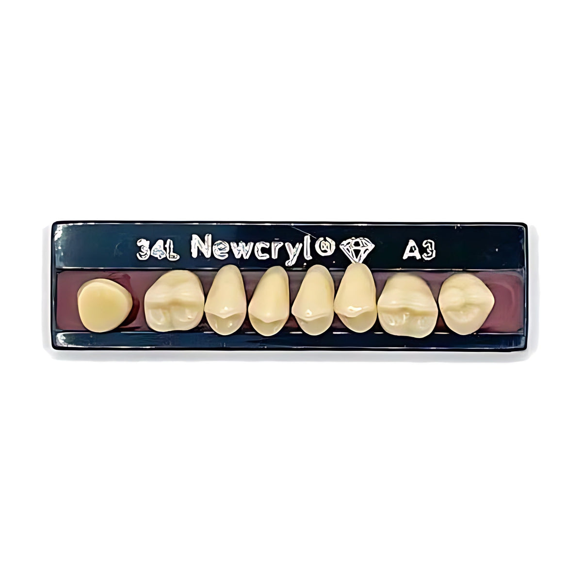 Dientes newcryl superior posterior