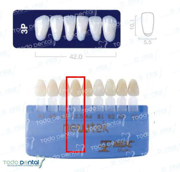 Diente new tek anterior inferior