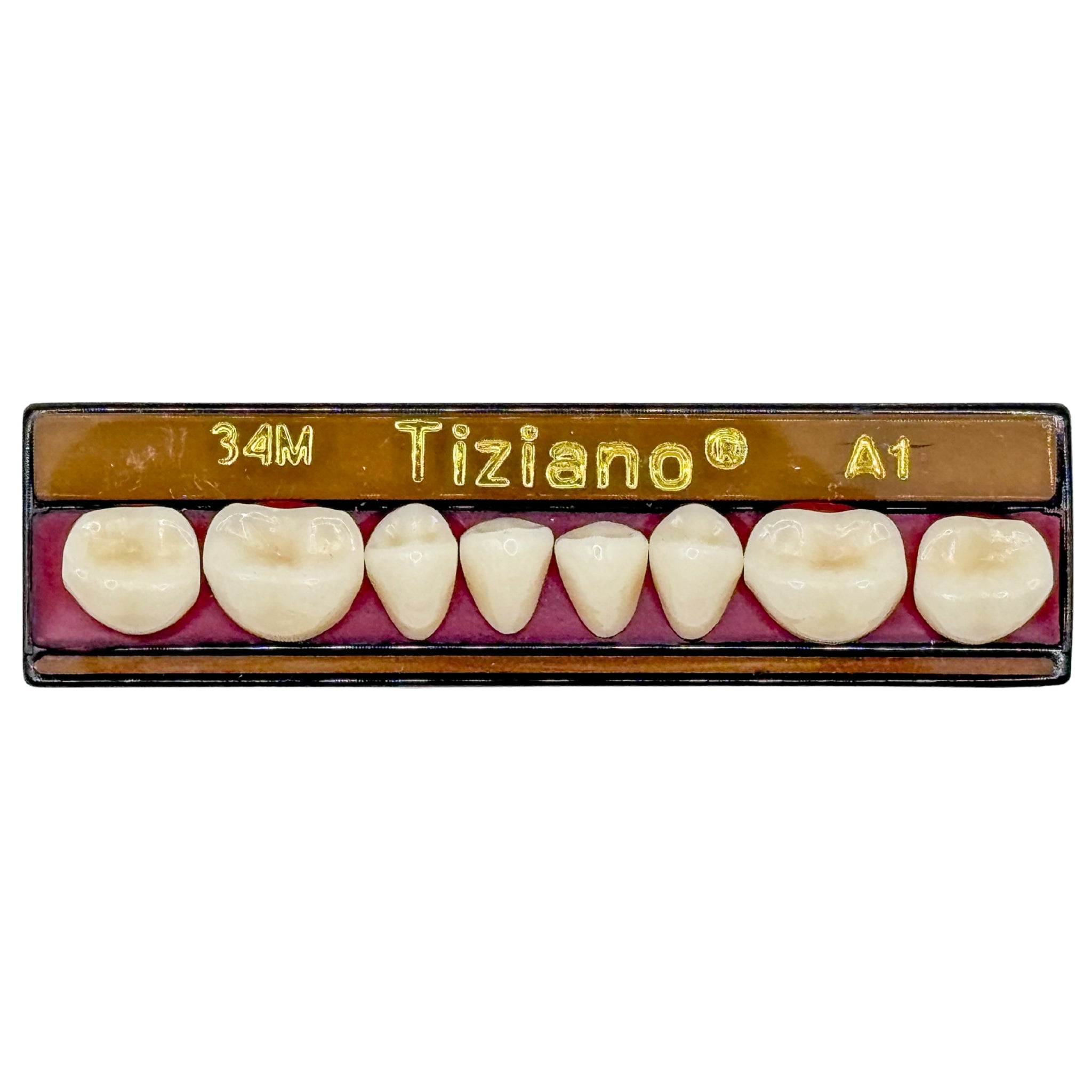 Dientes tiziano x 8 ip 34M col A1