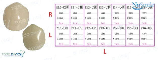 Corona zirconia nusmile anterior, lateral y canino