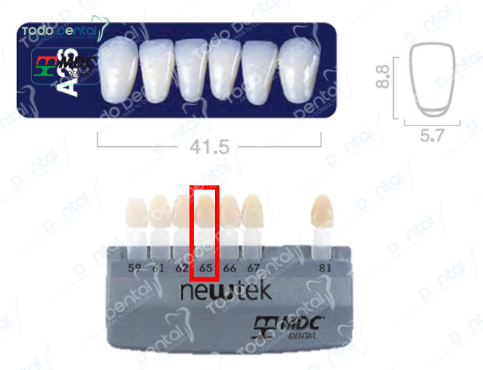 Diente new tek anterior inferior