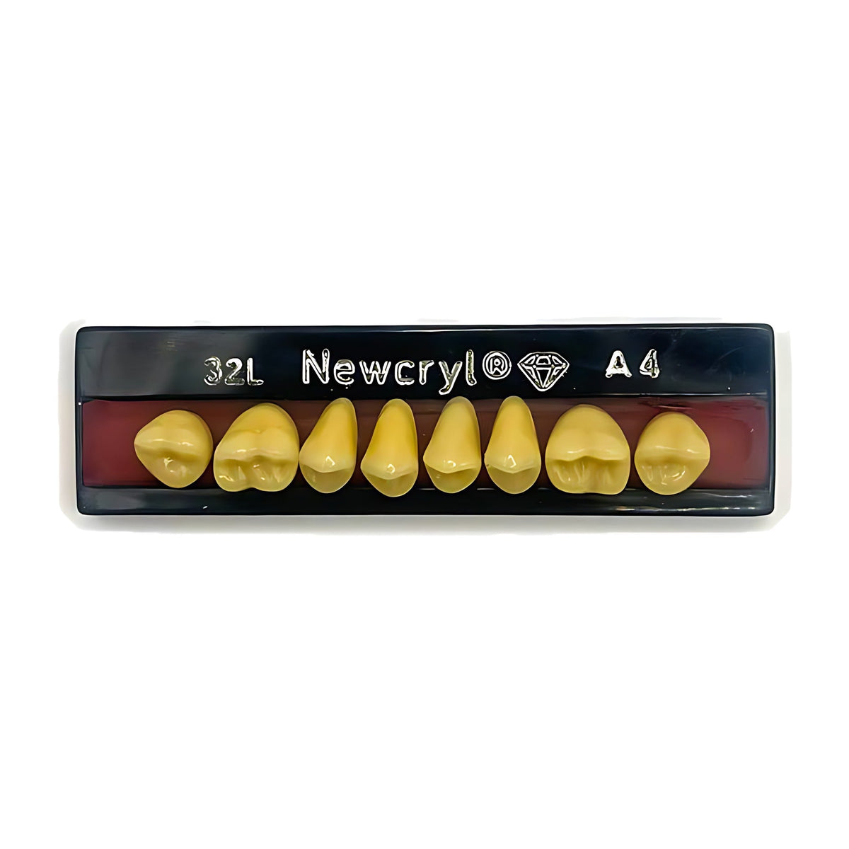 Dientes newcryl superior posterior
