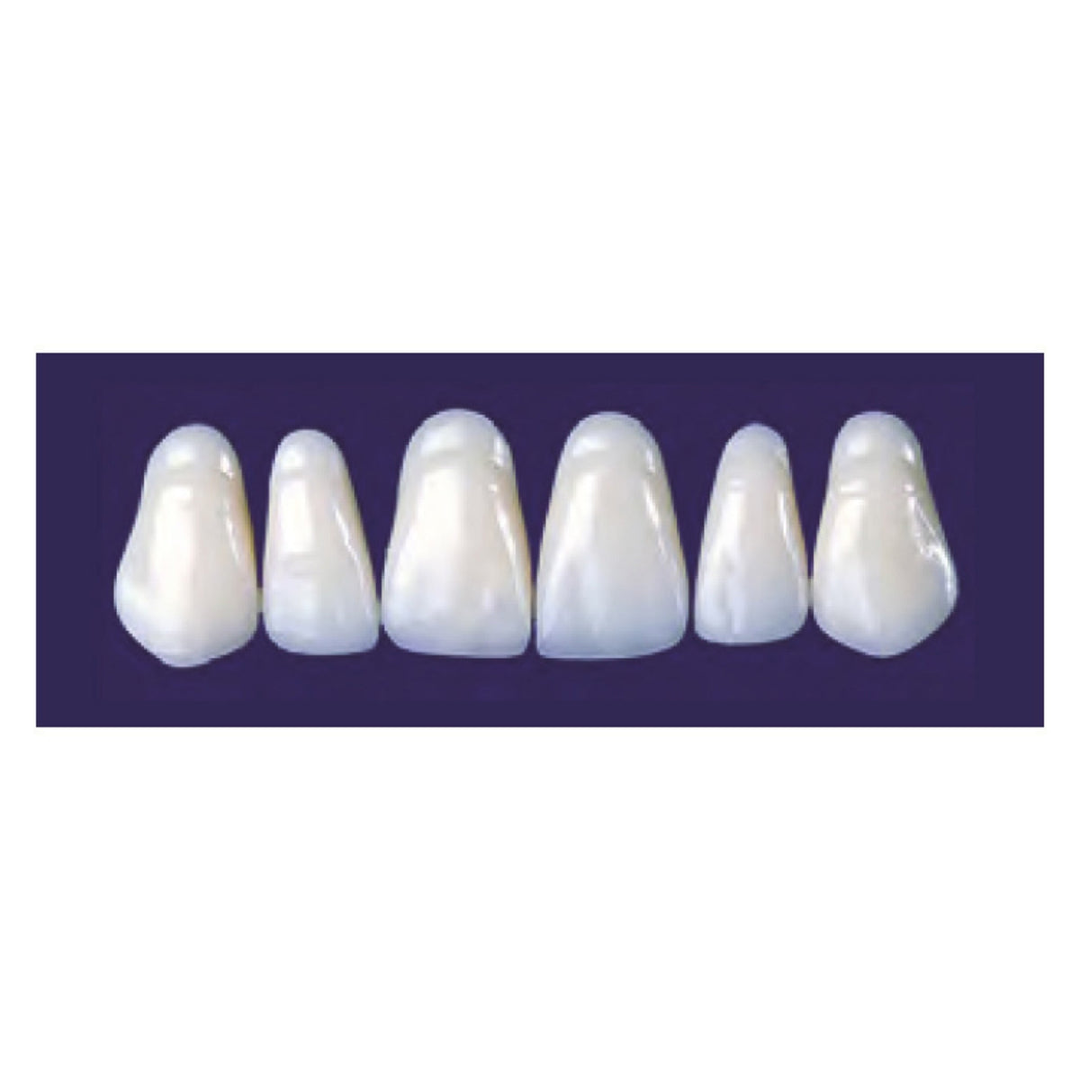 Diente new tek anterior superior — 150-267-65S