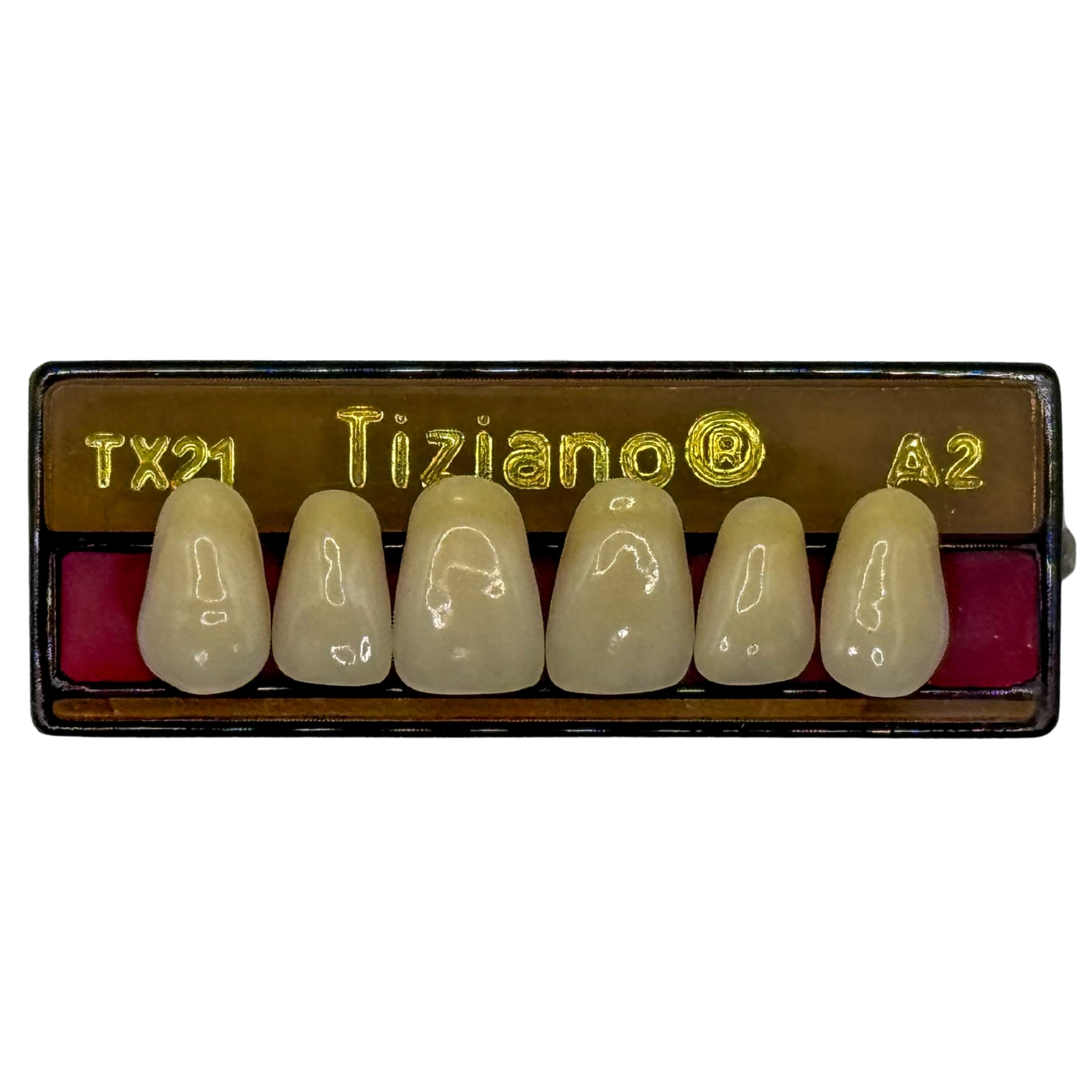 Dientes tiziano x 6 sa TX21 col A2