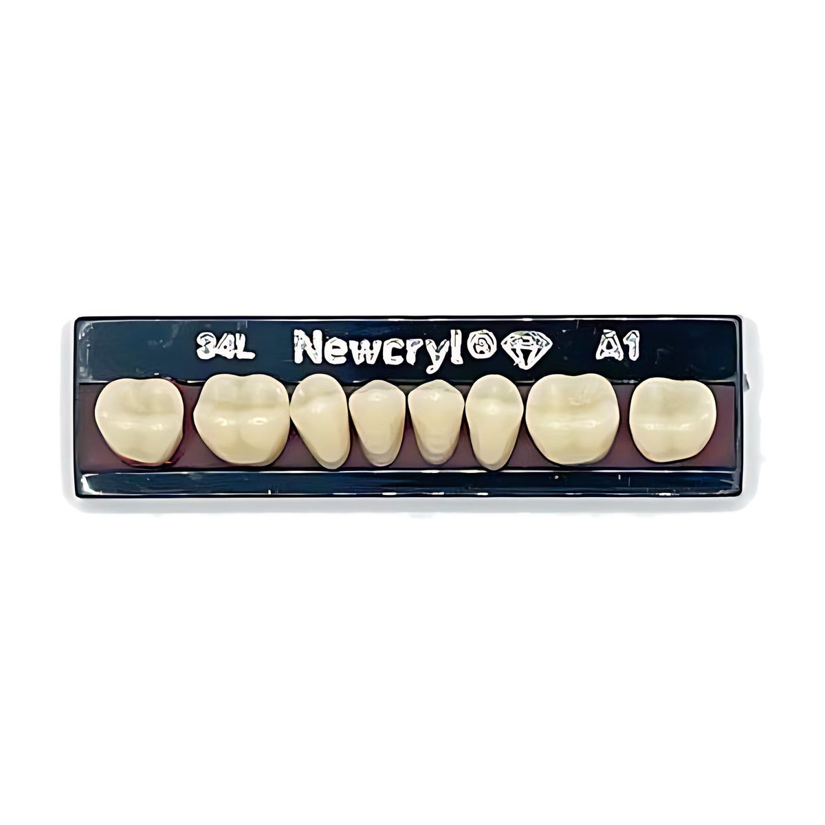 Dientes newcryl inferior posterior