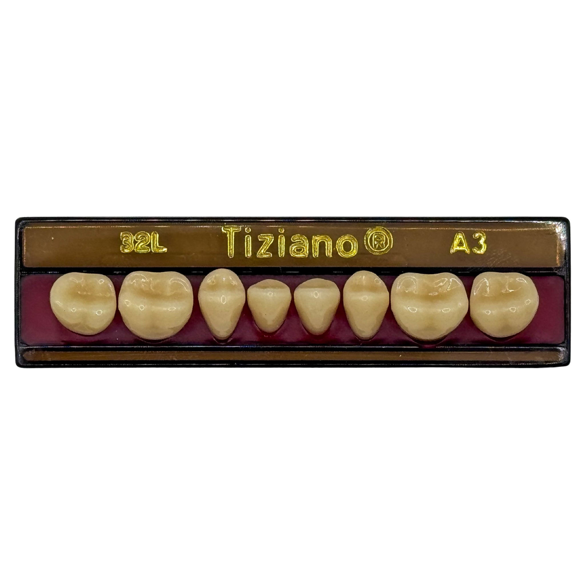 Dientes tiziano x 8 ip 32L col A3