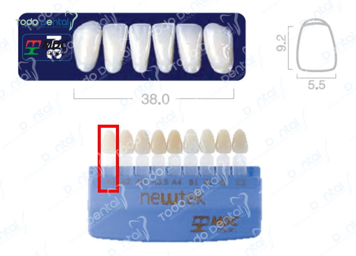 Diente new tek anterior inferior