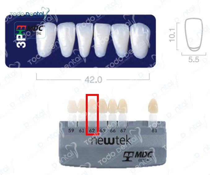 Diente new tek anterior inferior