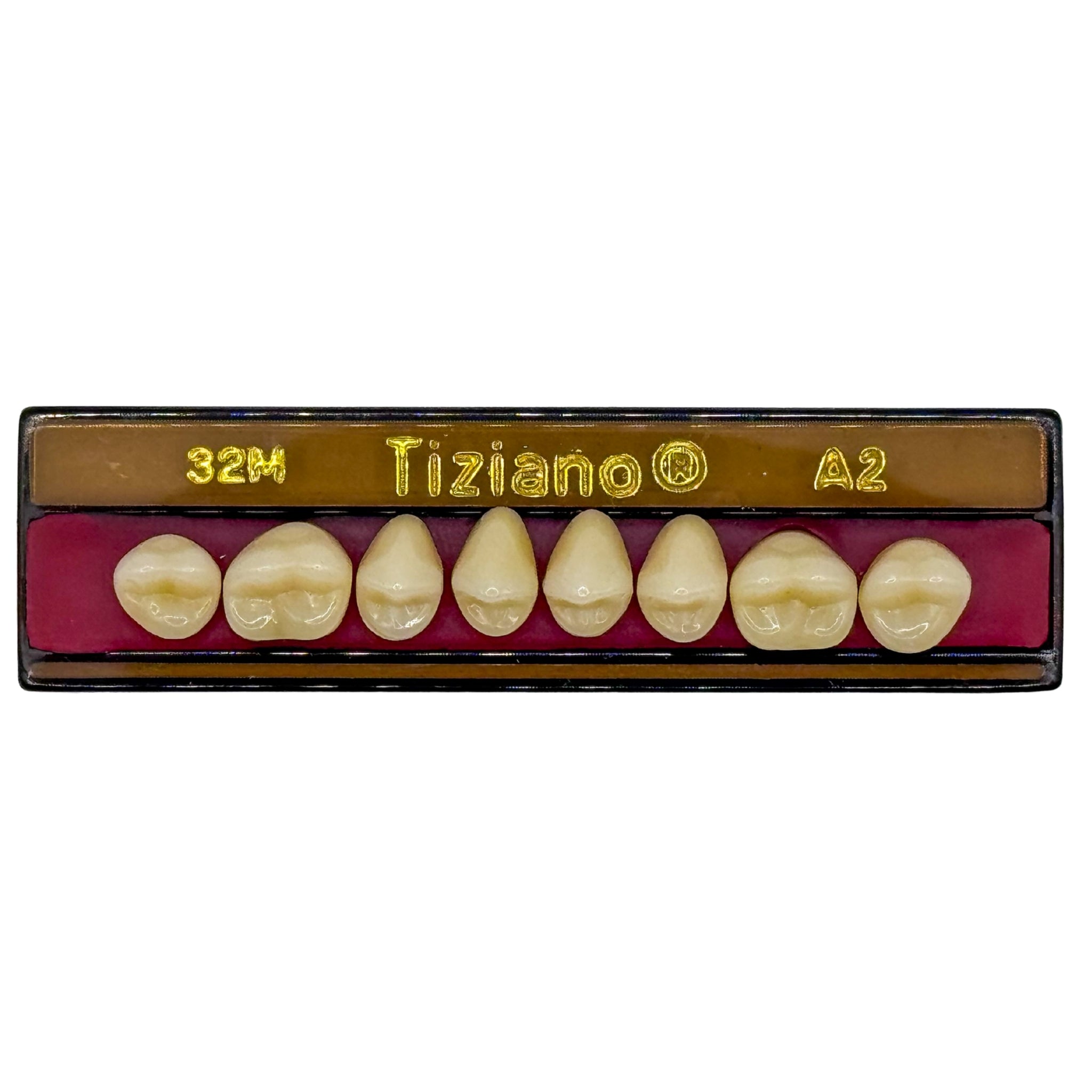 Dientes tiziano x 8 sp 32M col A2