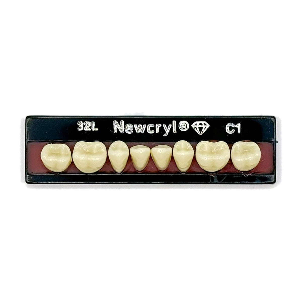 Dientes newcryl inferior posterior