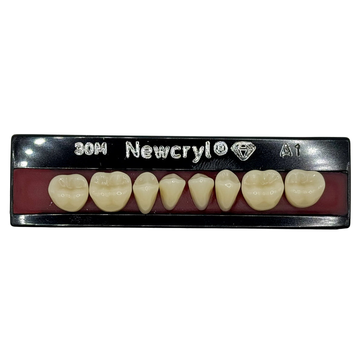 Dientes newcryl inferior posterior