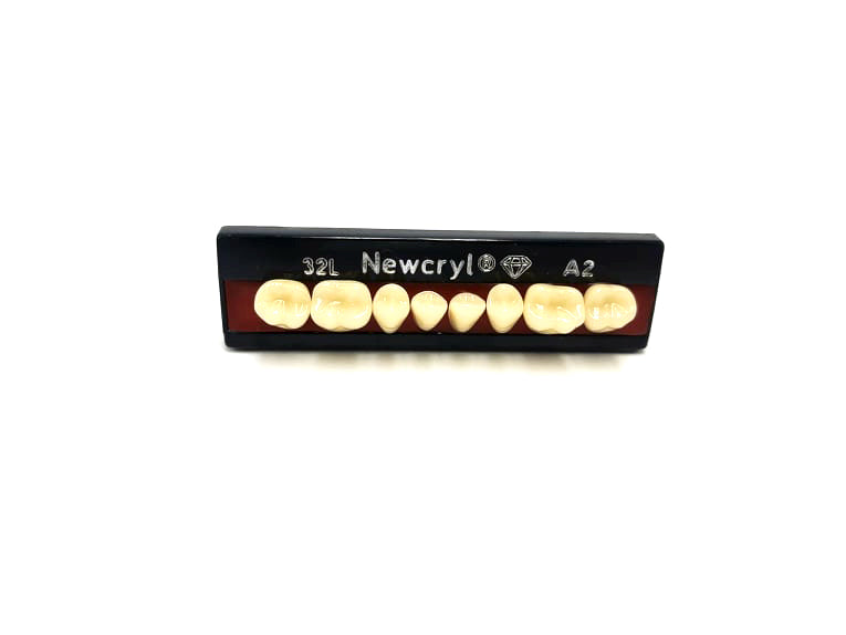 Dientes newcryl inferior posterior