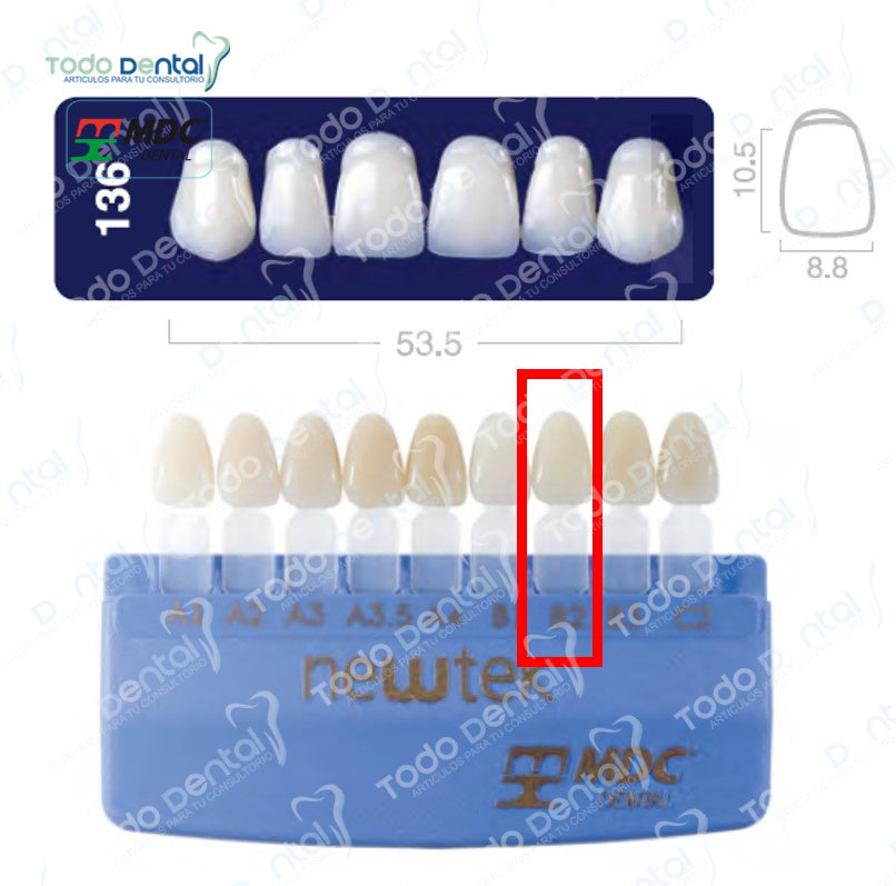 Diente new tek anterior superior