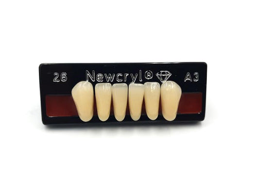 Dientes newcryl inferior anterior