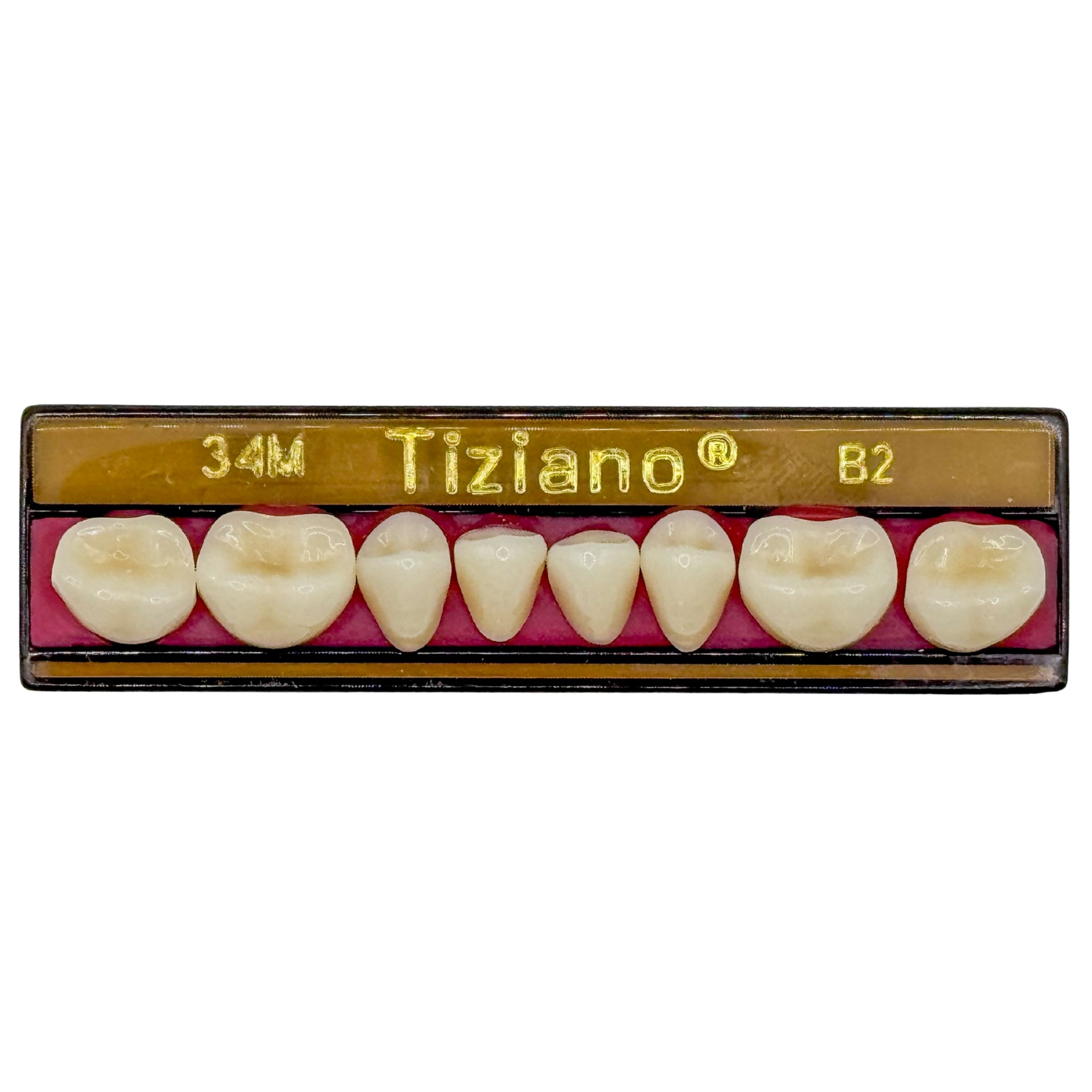 Dientes tiziano x 8 ip 34M col B2