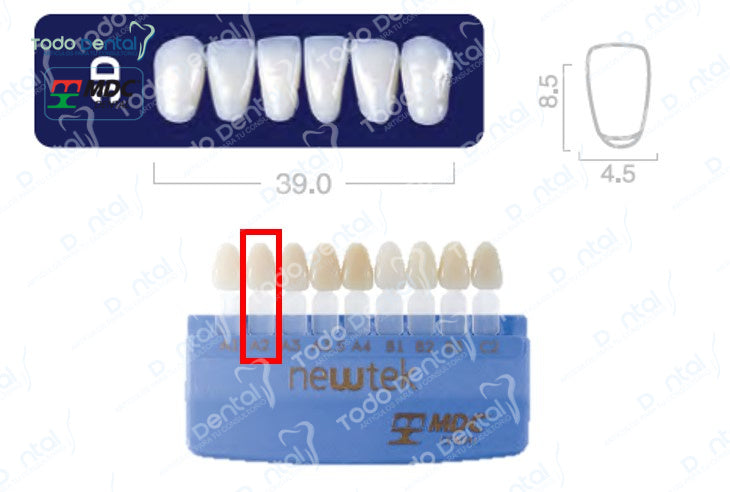 Diente new tek anterior inferior