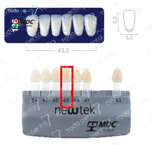 Diente new tek anterior inferior