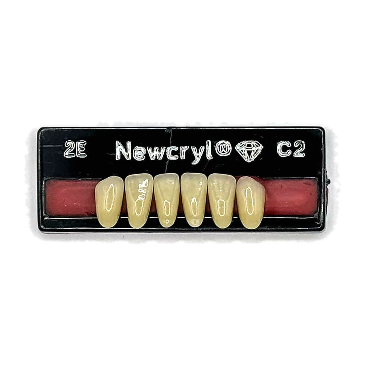 Dientes newcryl inferior anterior