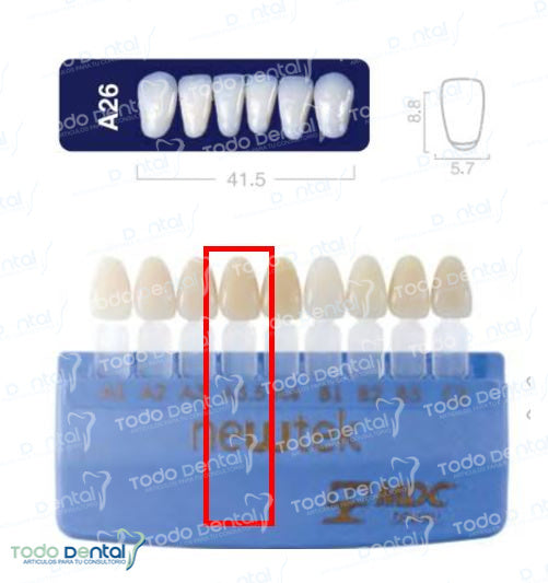 Diente new tek anterior inferior