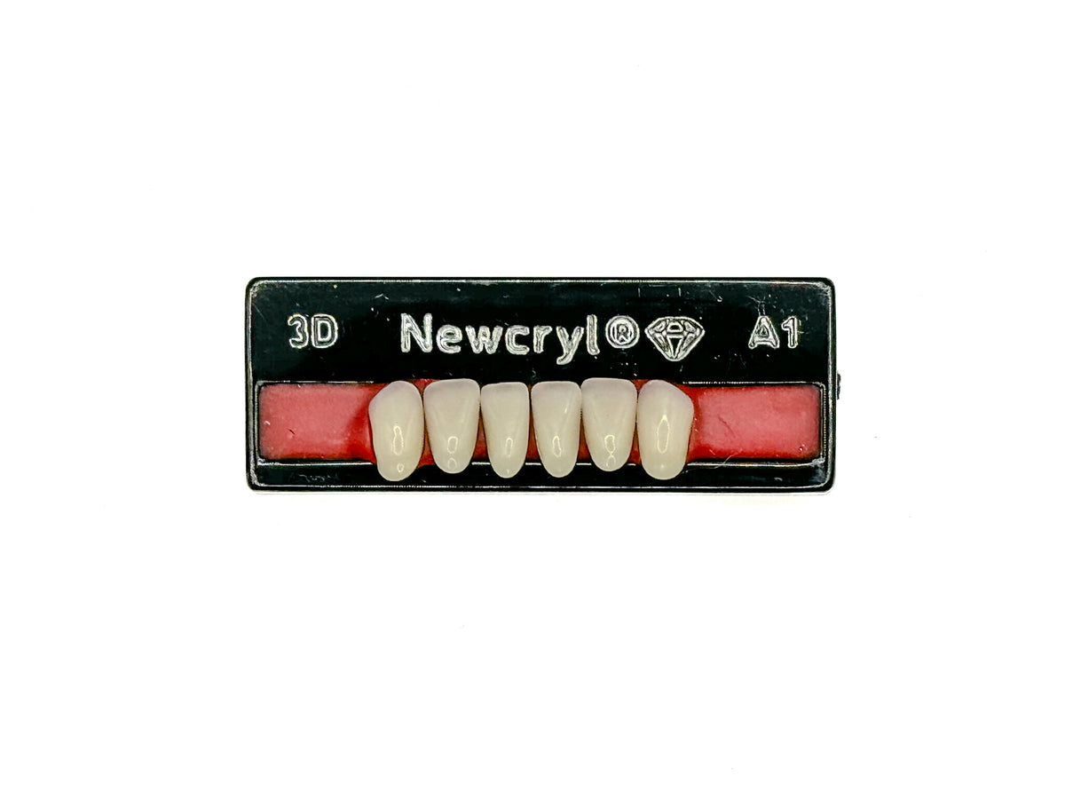 Dientes newcryl inferior anterior