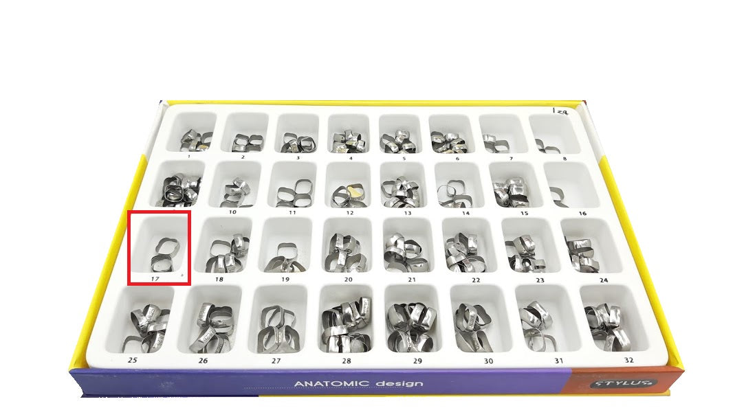 Banda anatomica 1 molar Borgatta Upper