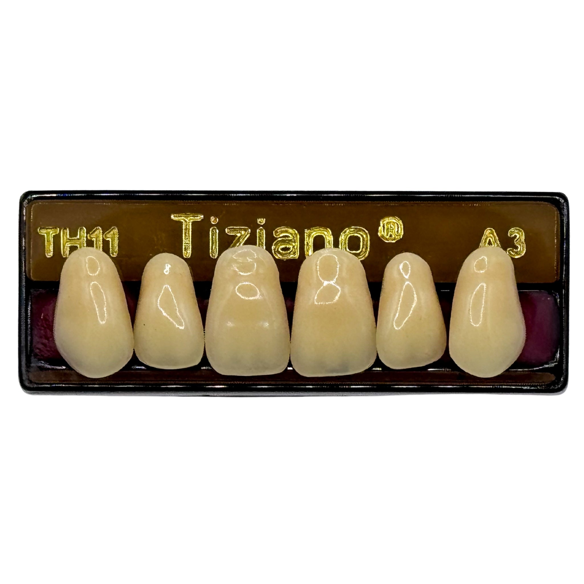 Dientes tiziano x 6 sa TH11 col A3