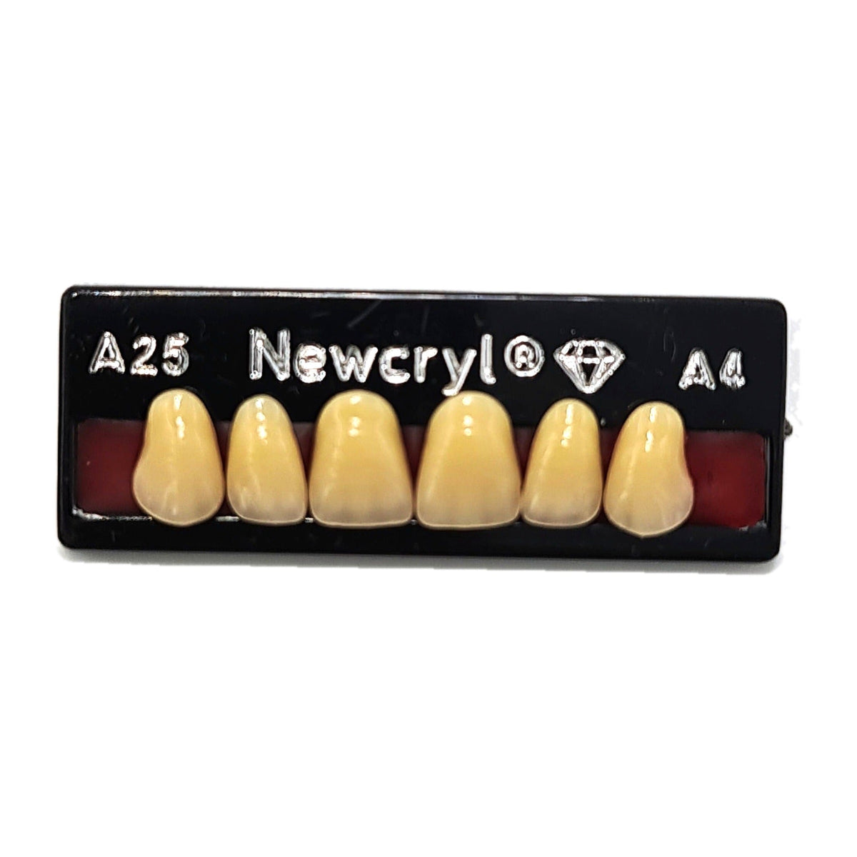 Dientes newcryl superior anterior moldes grandes