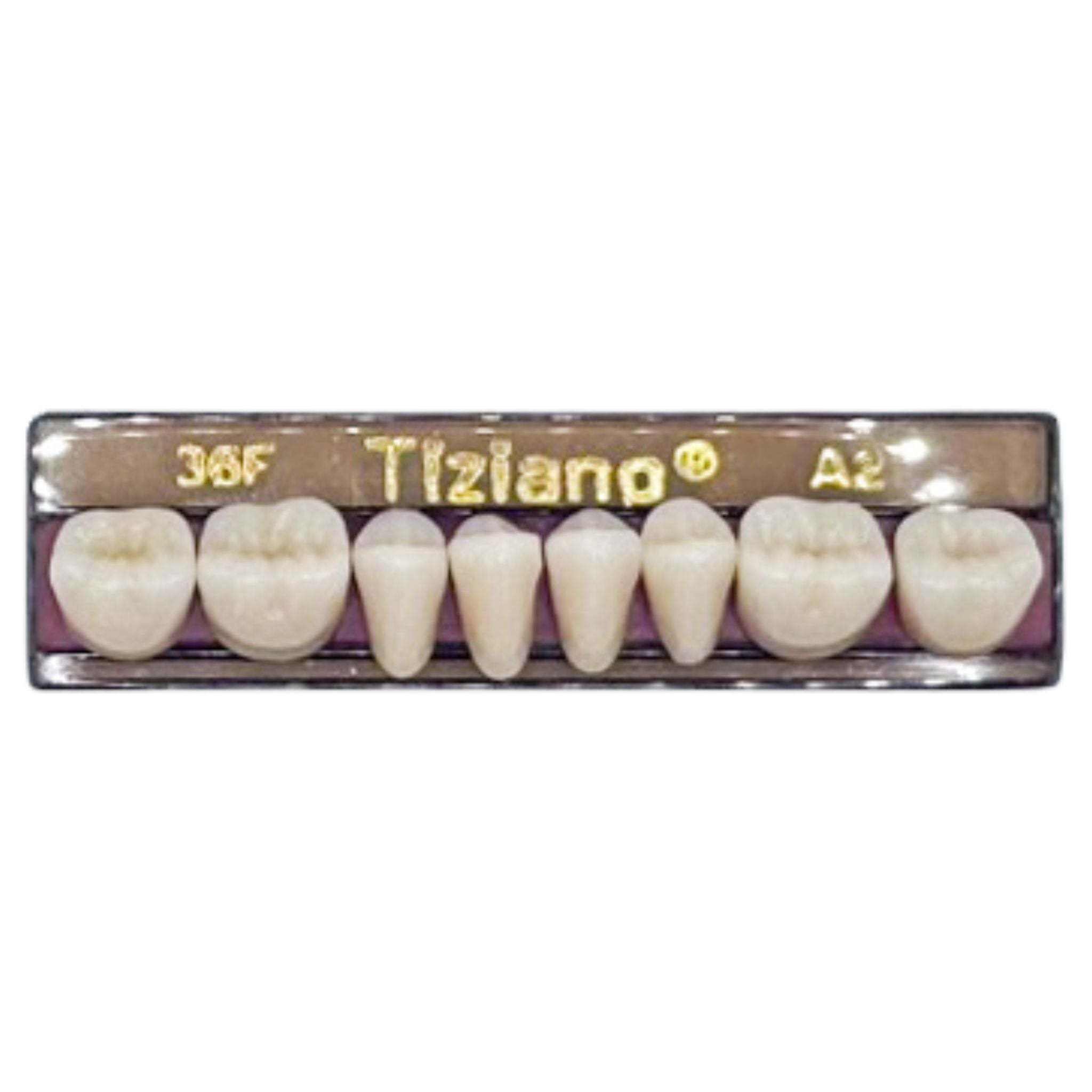 Dientes tiziano x 8 ip 36F col A2