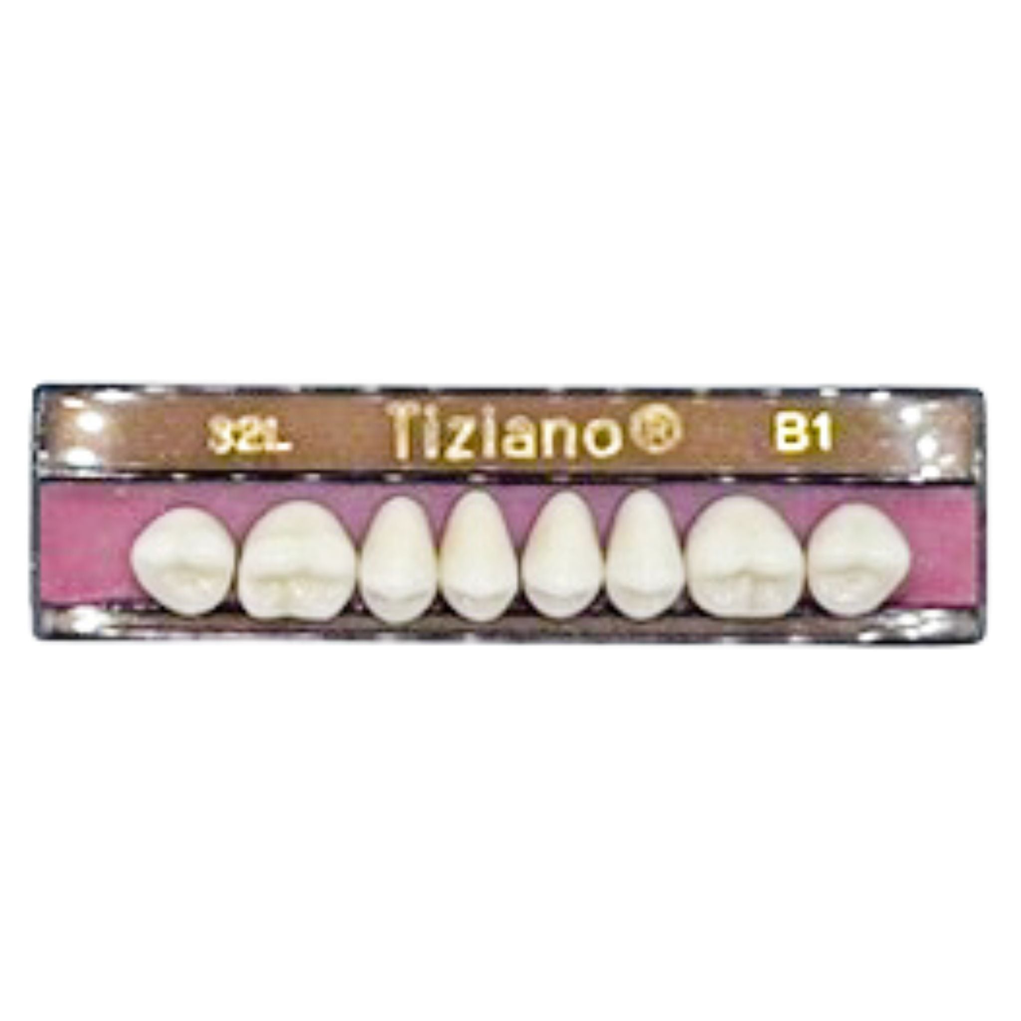 Dientes tiziano x 8 sp 32L col B1