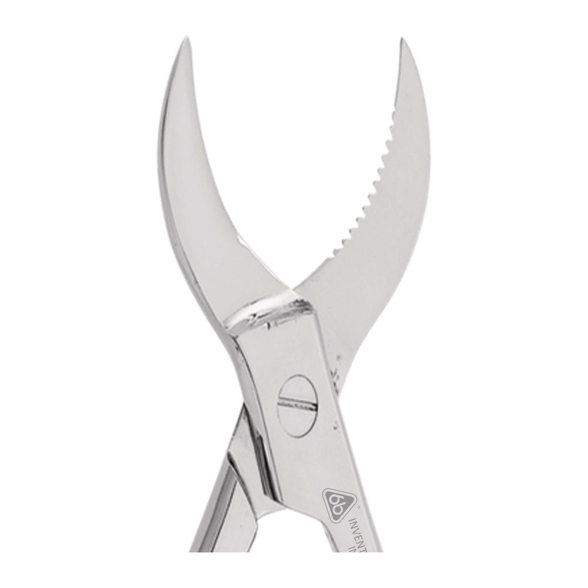 Pinza de cangrejo - detalle