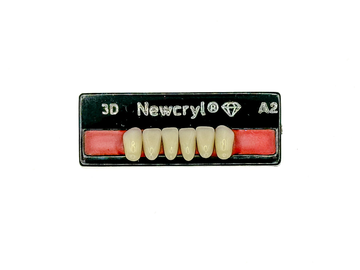 Dientes newcryl inferior anterior