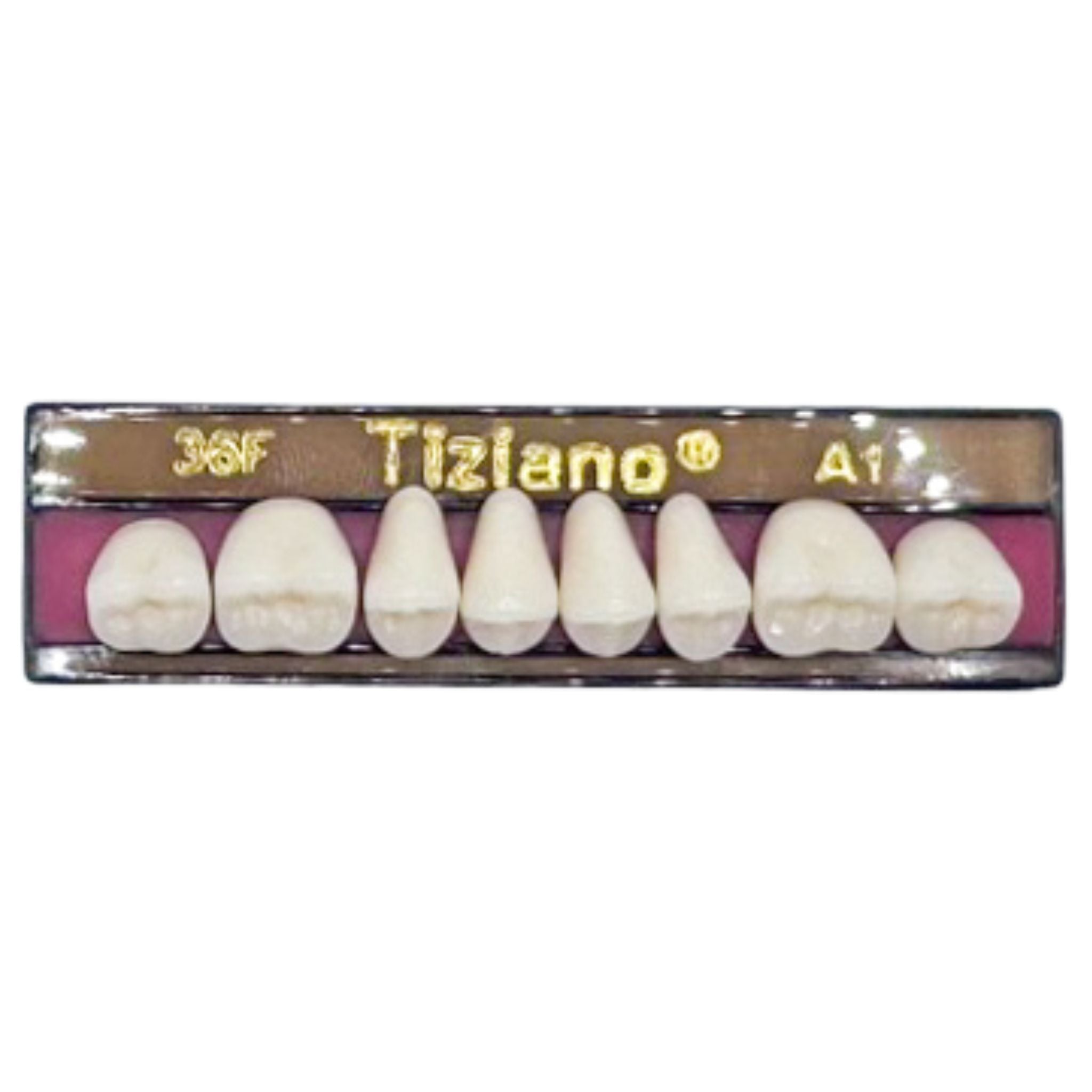 Dientes tiziano x 8 sp 36F col A1