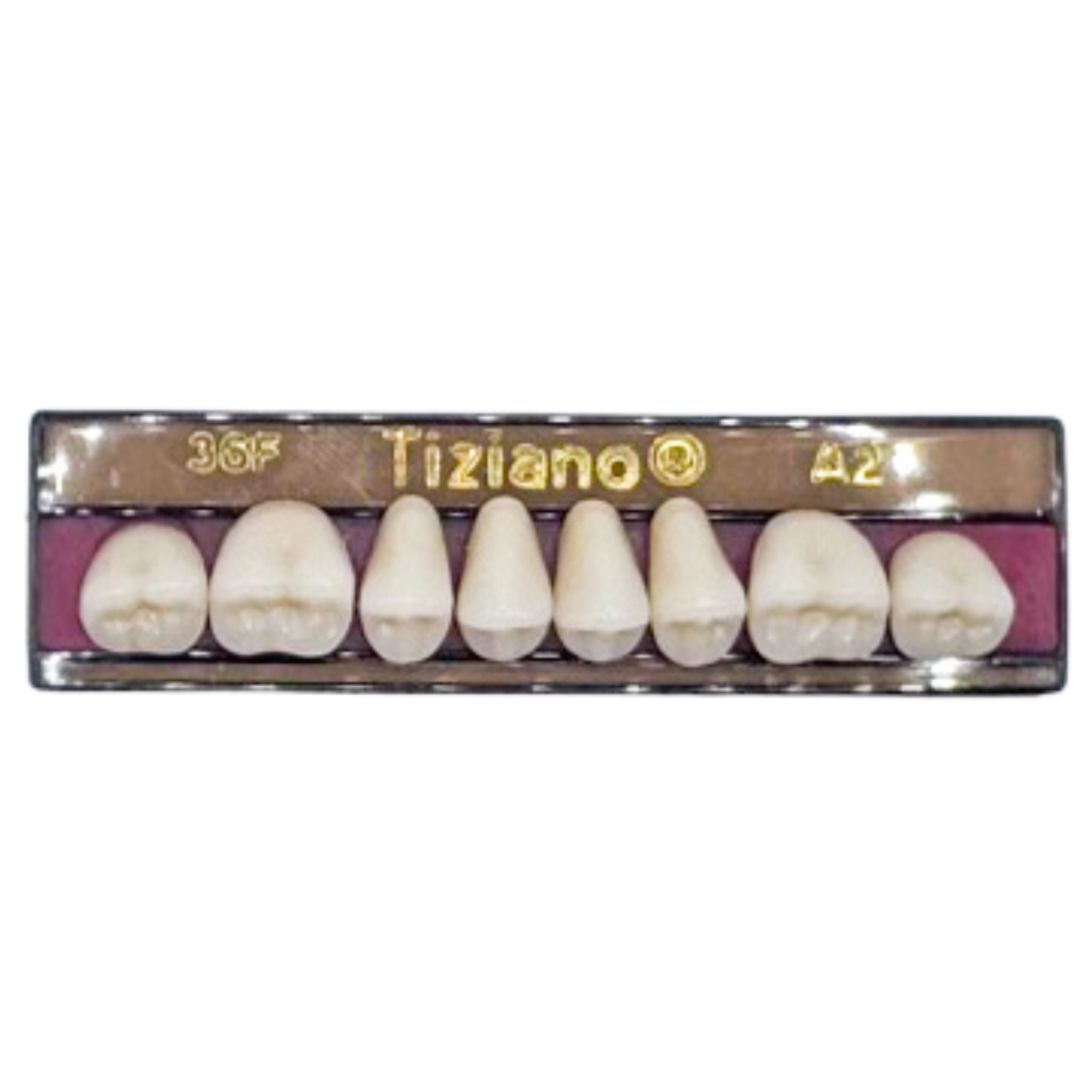 Dientes tiziano x 8 sp 36F col A2