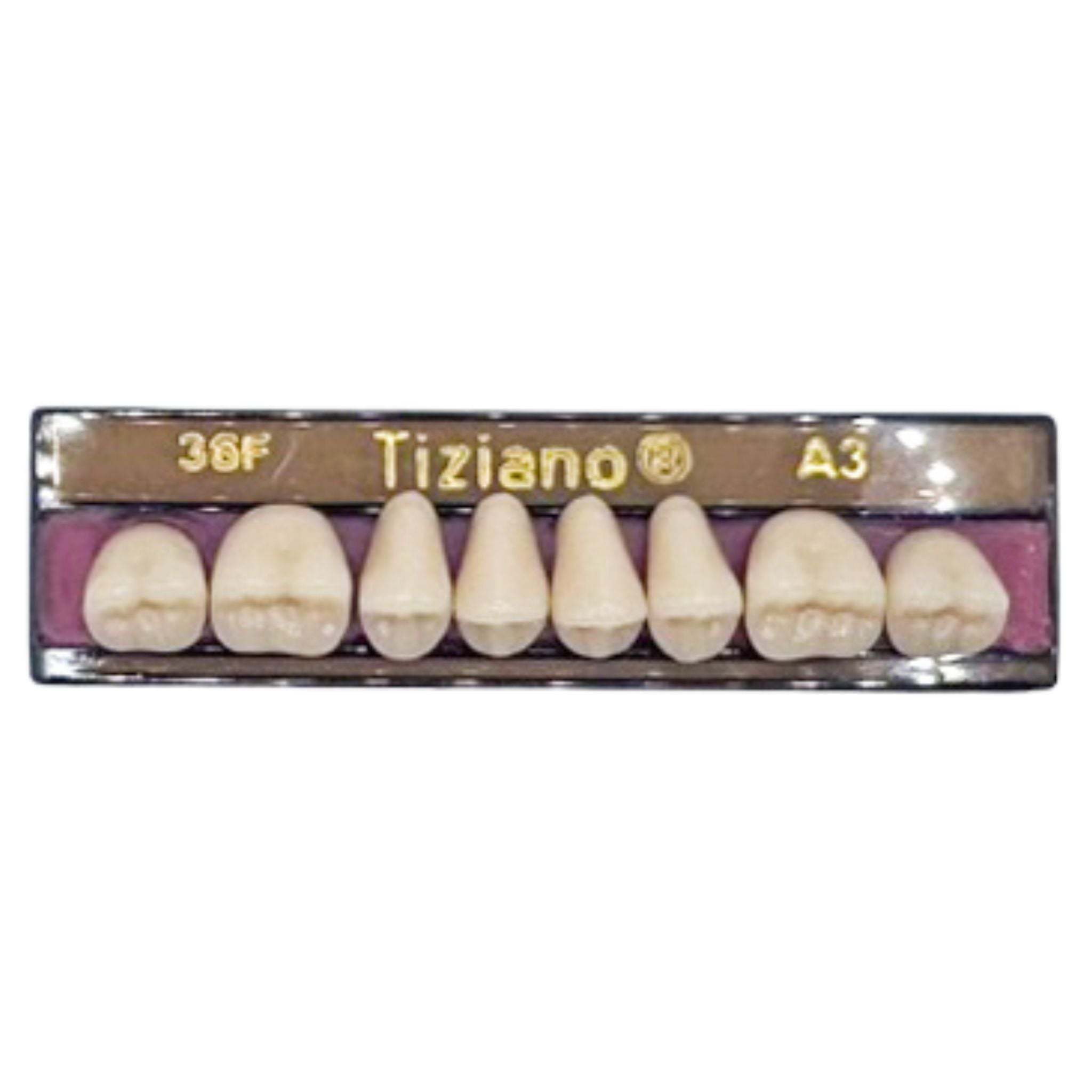 Dientes tiziano x 8 sp 36F col A3
