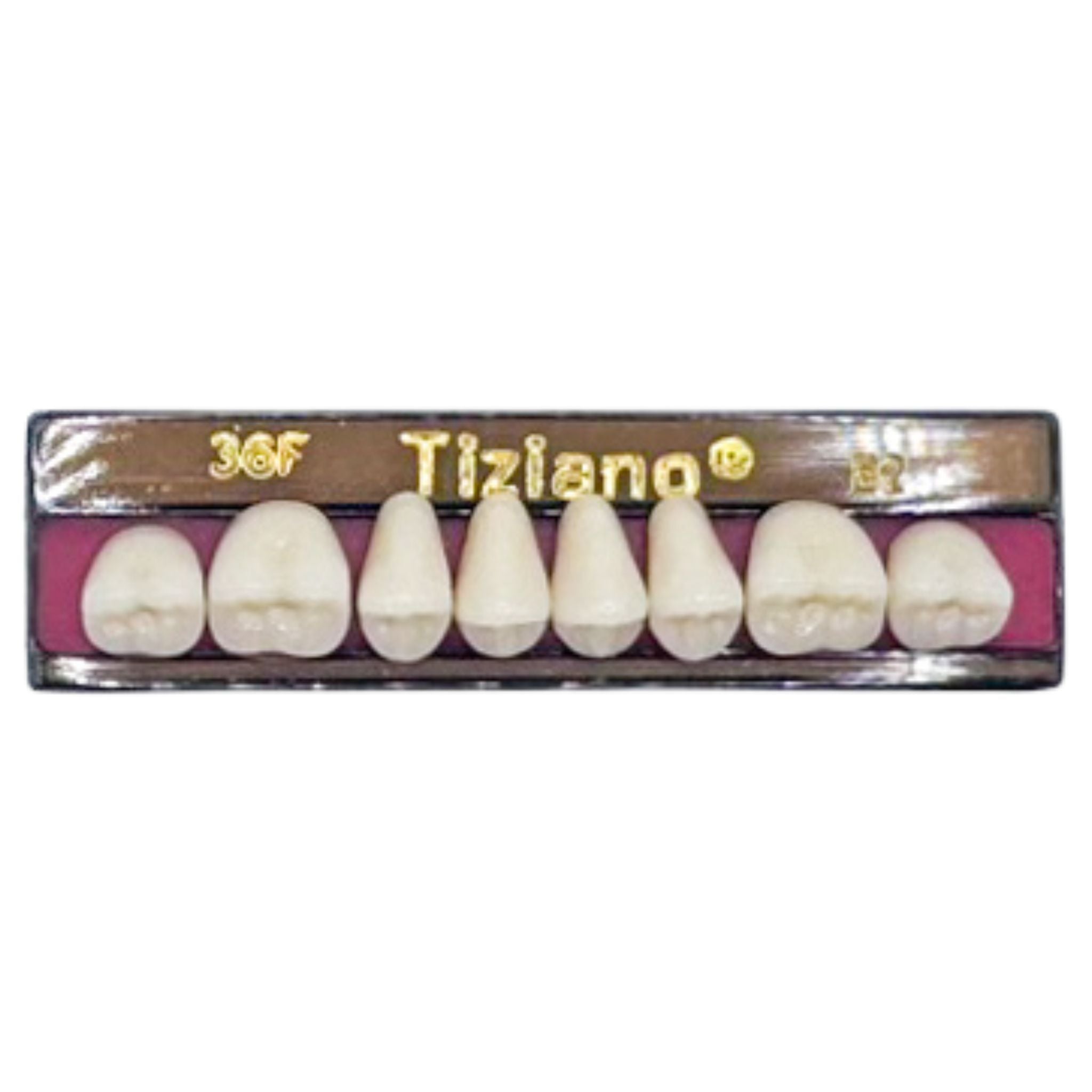 Dientes tiziano x 8 sp 36F col B2