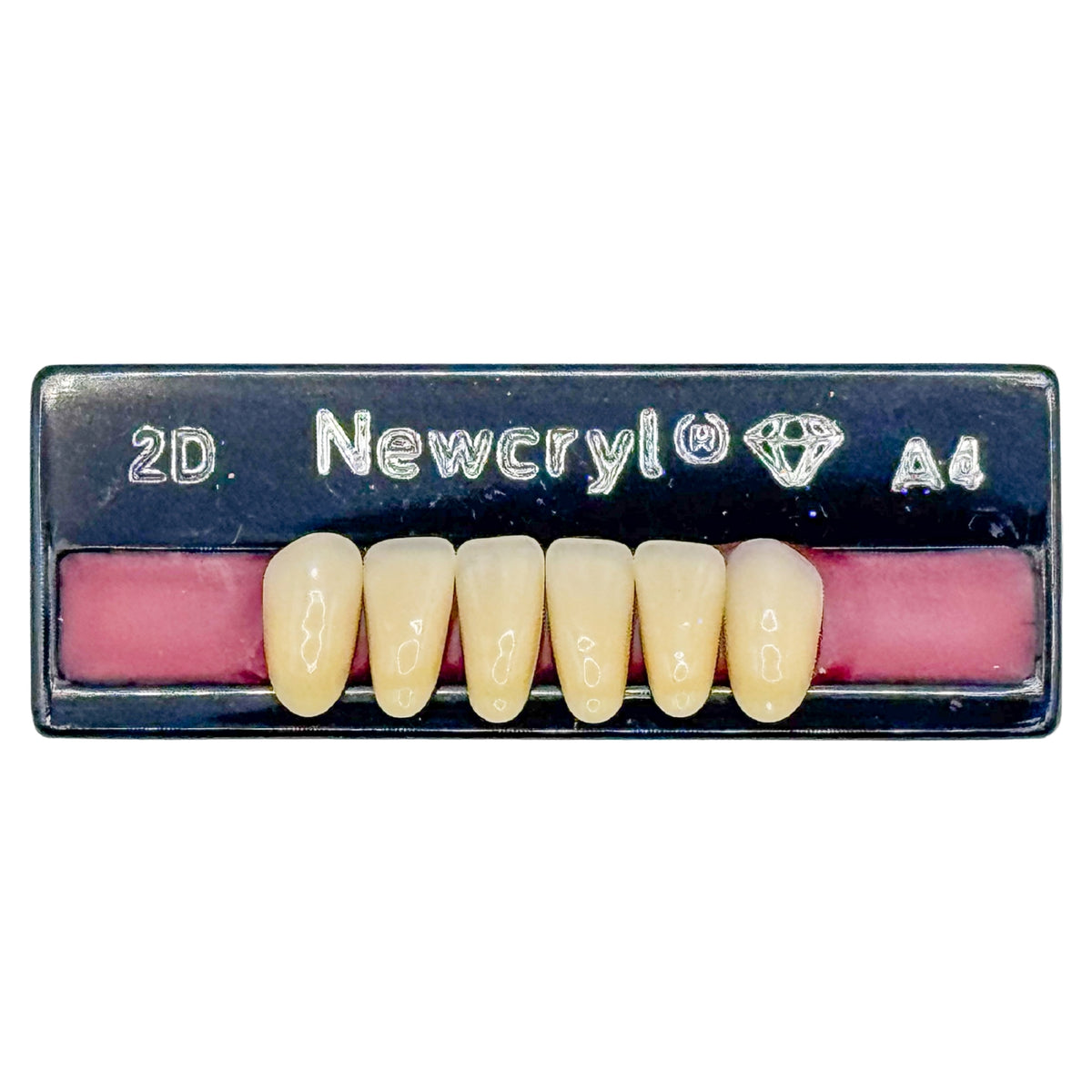 Dientes newcryl inferior anterior