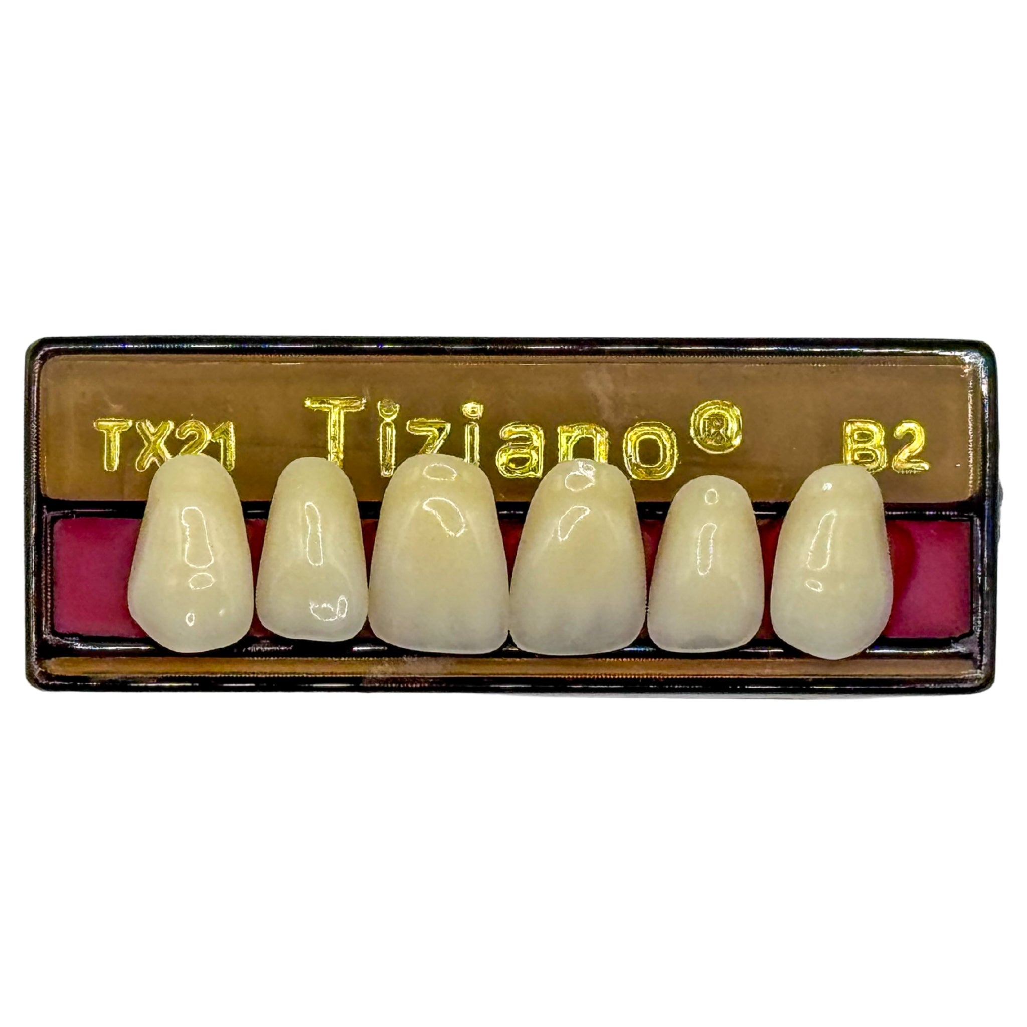 Dientes tiziano x 6 sa TX21 col B2