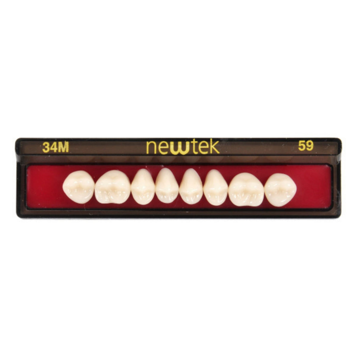 Diente new tek posterior superior — 150-34M-A3S