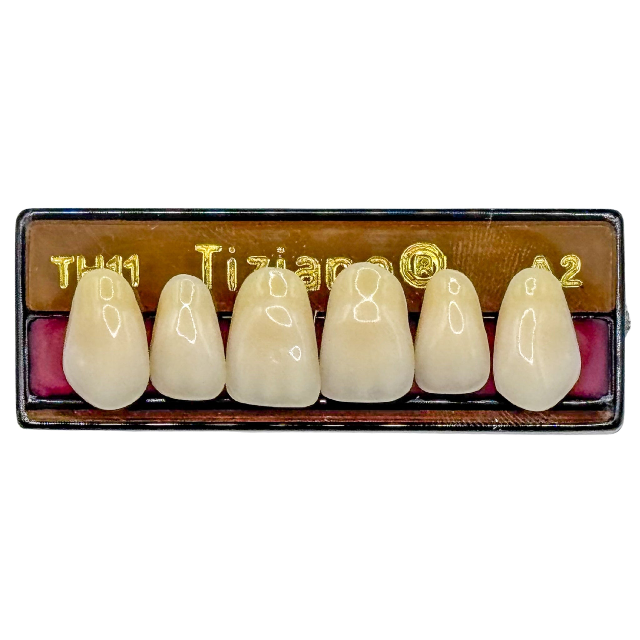 Dientes tiziano x 6 sa TH11 col A2