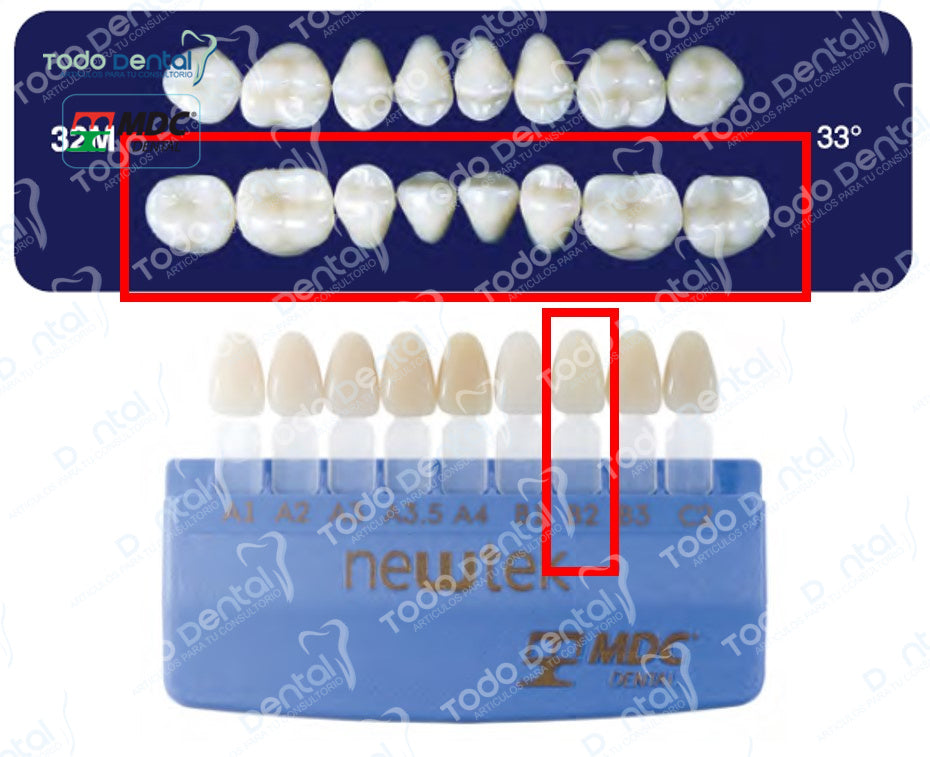 Diente new tek posterior inferior