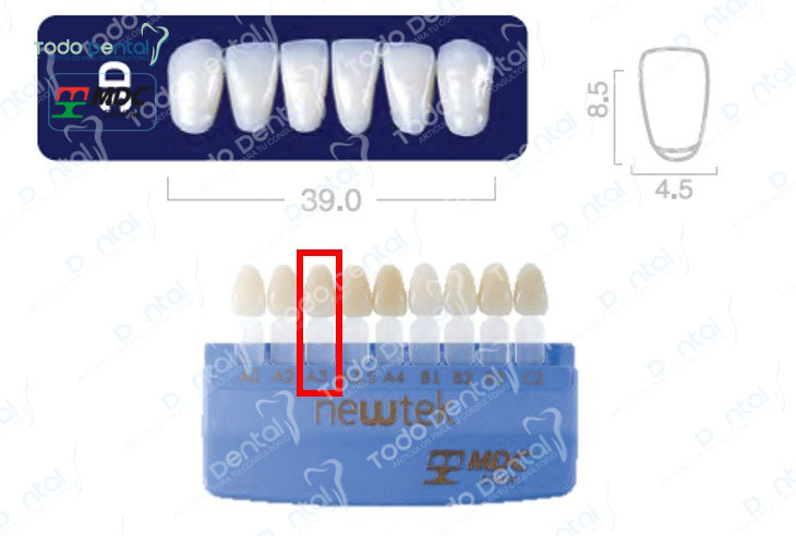 Diente new tek anterior inferior