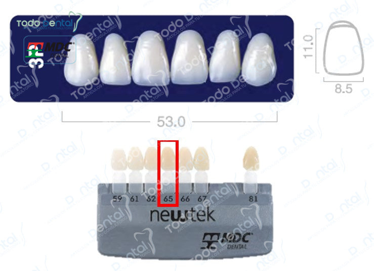 Diente new tek anterior superior