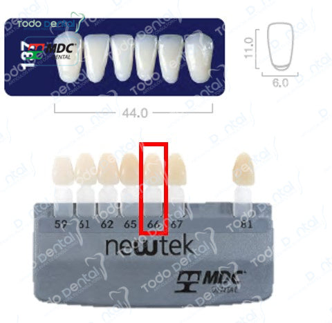 Diente new tek anterior inferior