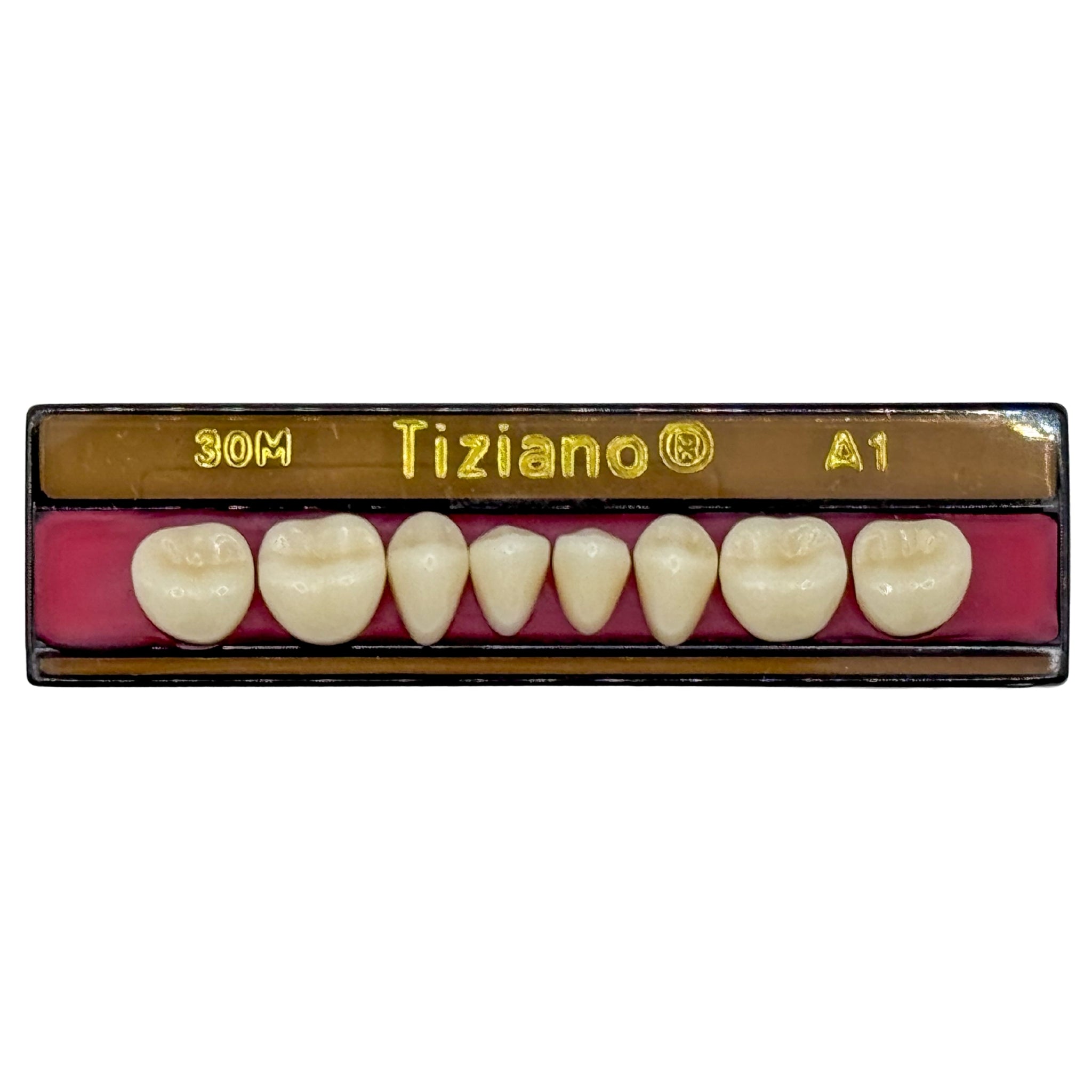 Dientes tiziano x 8 ip 30M col A1
