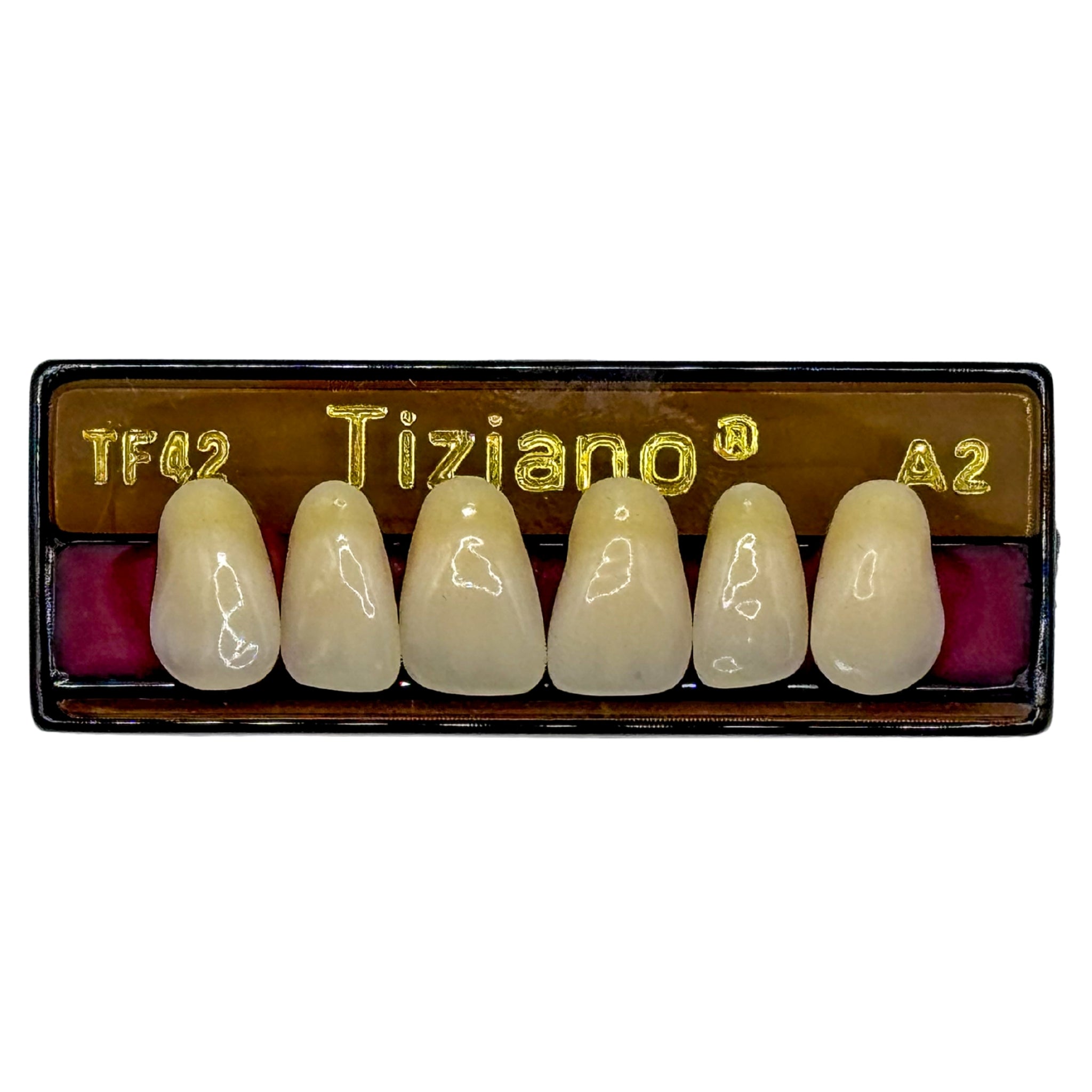 Dientes tiziano x 6 sa TF42 col A2